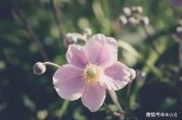 善待自己最好的方式，其实就三个字：少生气