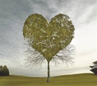 就这样，埋藏在心底