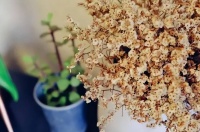 “儿子，婚房不要写你对象的名字，会吃亏”男人：我愿意吃亏