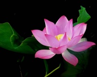 改变命运，“一句话”就够了