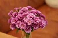 “女儿，让你老公把房子过户给你弟”女人：不可能