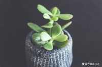 一个人品很差的人，喜欢把这四句话挂在嘴边，交往需谨慎