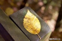 人生在世，都是苦多乐少！（读完落泪）