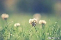 人过中年，就别跟这4种亲戚来往了，省得给自己添堵