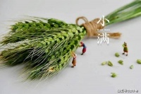 2023年小满文案：人生不求太满，小满即是圆满！