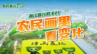 乡村振兴在行动丨浙江嘉兴胜丰村：农民画里看变化