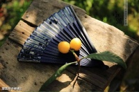 【古诗词鉴赏】清代诗人王泰偕《吴门竹枝词四首·其四·小满》诗赏析