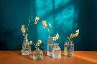 正观漫读｜拥有这三种能力，人生更加从容