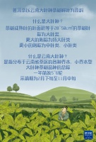 国际茶日：品茶有道 聚焦普洱茶