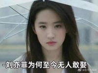 刘亦菲为何至今无人敢娶，原因竟是因为身家太高