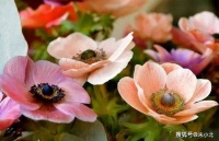 一个不合群的人，会有的样子