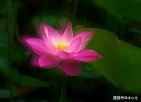 人与人之间，最大的区别，不是财富和地位，而是认知