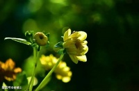 高考文言文高频词汇编（三）