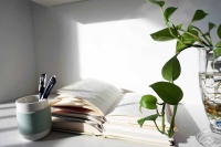 真正厉害的人，有三盏灯：先见之明，自知之明，知人之明