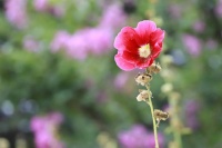 人生下半场，拼的是“屏蔽能力”