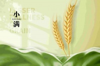 小满长乐，幸福满满！与孩子一起解锁小满节气知识