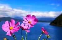 人过七十才发现，兄弟姐妹才是最“伤心”的人