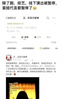 杨紫被曝所有活动被暂停，疑似与其代言有关，品牌官宣她不敢认领