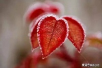 喜欢在朋友圈，炫耀这些东西的人，大多都没有真本事