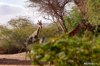 一个人，开始走好运的征兆：心静