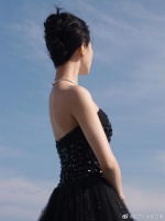 刘诗诗钻光抹胸黑纱裙