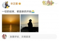 辛芷蕾：发分手文案，翟天临又上热搜，两人520当天没领证