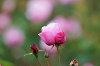 成年人社交潜规则，一定要懂