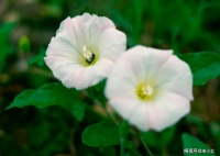 一个人，就算再有本事，也不要做这两件事，会有报应