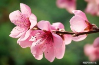 让人有以下三种感觉的人，往往情商很低，不值得交往