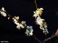 【满分作文】吹尽狂沙始到金