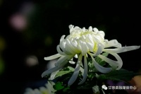 【甘泉美文斋第358期】贺百仓：我和我的亲人和朋友们