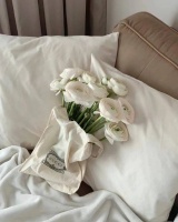 最适合双子，白羊，狮子的相处方式