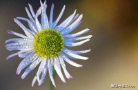 一个人，越是在意什么，越容易被什么折磨