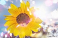 人生路上，最好的关系，就是彼此舒服