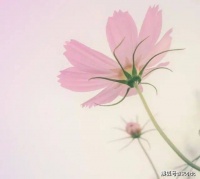 心态平和，人生才会顺