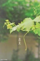 【古诗词鉴赏】清代诗人赵翼《论诗》诗赏析