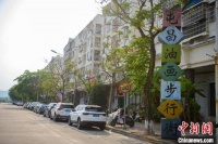 海南屯昌：多举措助力油画产业再扬帆