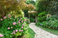 上海共青森林公园2023八仙花展启幕