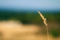 谁是你身边最靠谱的人？往往是有这三种特质的人