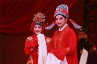 薪火相传！豫剧表演艺术家王清芬经典作品研讨会在郑举行