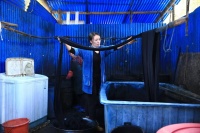 非遗传承人杨成兰：倚山纺纱，传承有色彩的手艺