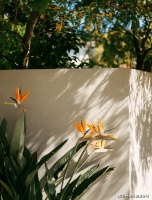 选择幸福家庭出来的人