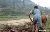 “男子难得三更子，女子难得正午时”，指的是什么？背后是啥含意？