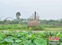 百家融媒重庆行丨牛圈变茶室、厨房变书房……重庆璧山用艺术唤醒乡村活力