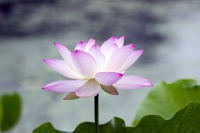 放下一个人最好的方法：见一面