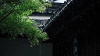 正观漫读｜“沉淀自己”最好的方式