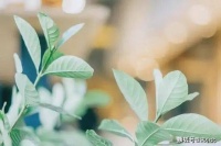 真正善良的人，与人交往时，往往懂得“三不做”