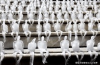 用创意对抗炎热，“冰冻小人”赢了丨酷