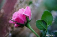 一个人，开始废掉的两个迹象，希望你一个都没有