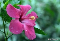 一个人，懂得这样待自己，才是有大智慧